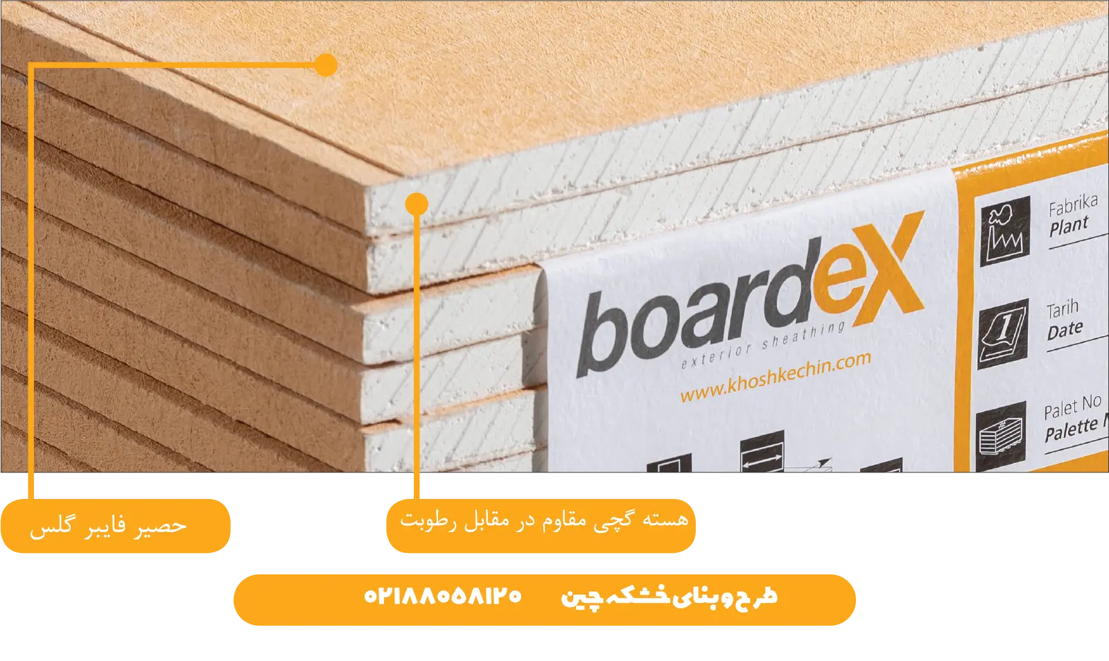 بوردکس